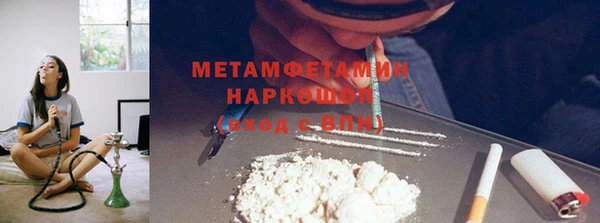 хмурый Щигры