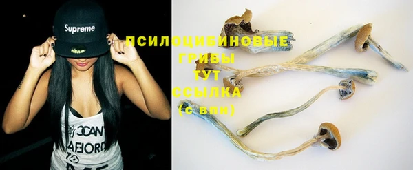 дживик Киреевск