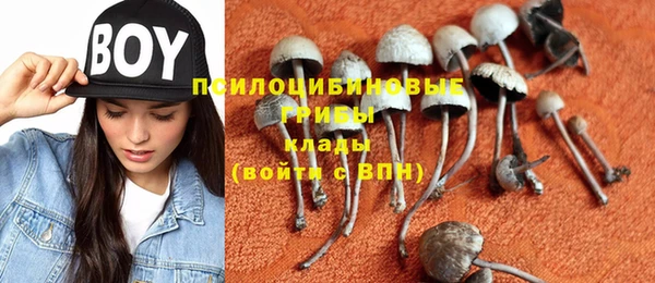 прущие грибы Киренск