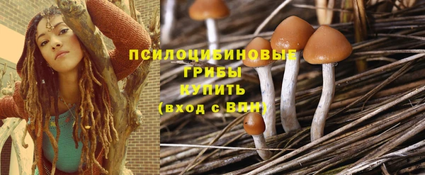 дживик Киреевск