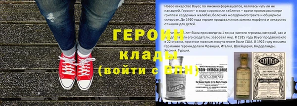 хмурый Щигры