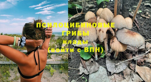 прущие грибы Киренск