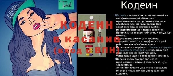 прущие грибы Киренск