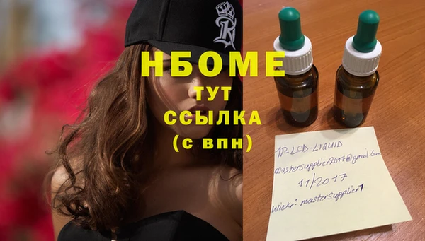 прущие грибы Киренск
