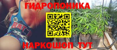 СК Мариинск