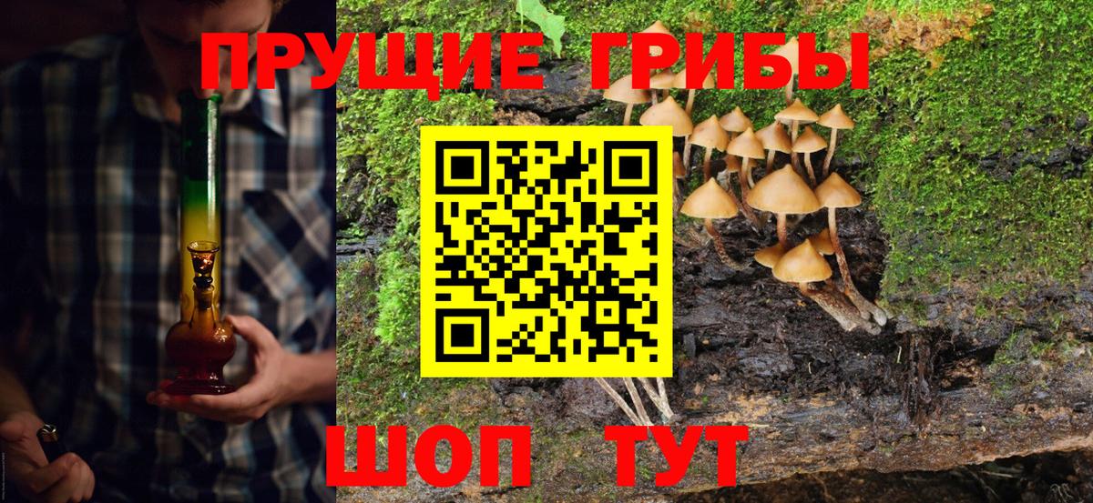 цена   Вход с VPN  Галлюциногенные грибы GOLDEN TEACHER  Новошахтинск  Галлюциногенные грибы Psilocybine cubensis 