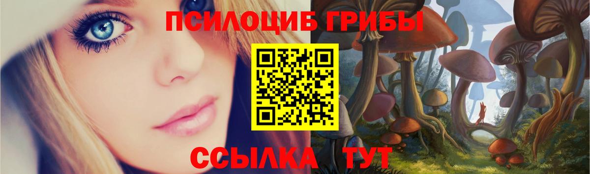 Галлюциногенные грибы Cubensis Новошахтинск